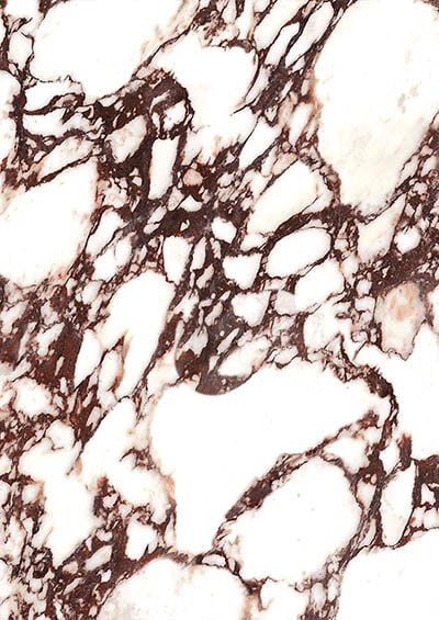 calacatta viola marble
